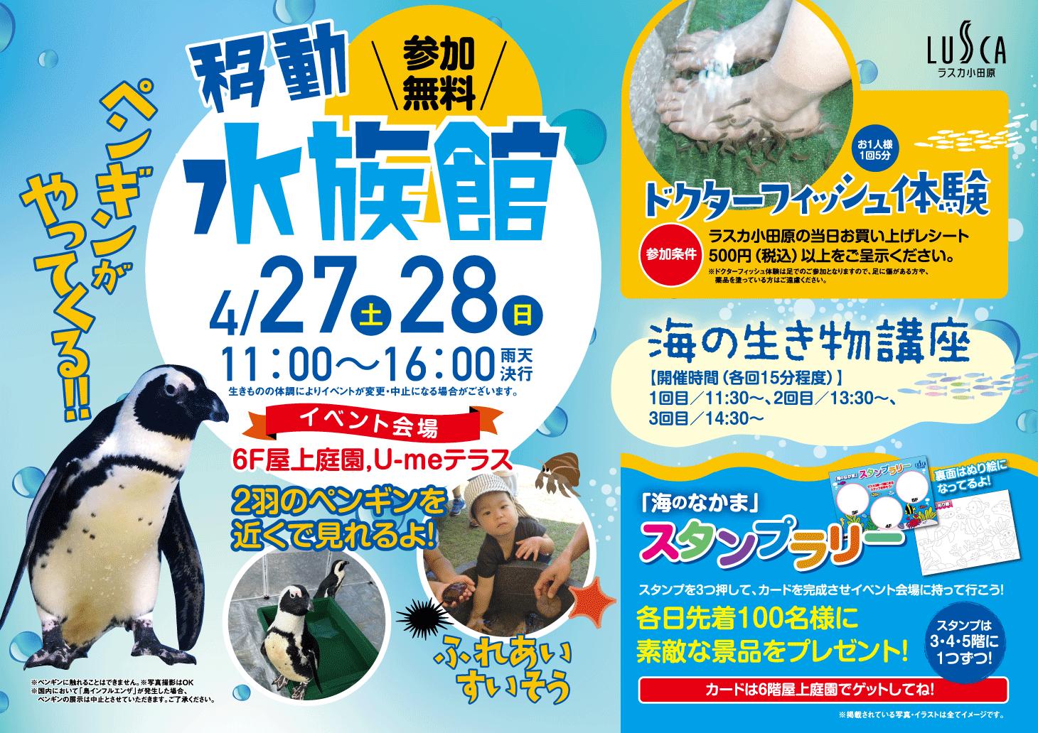 【GWイベント】移動水族館開催！！4/27(土)・4/28(日)